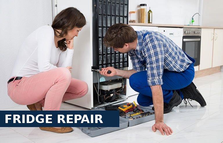 Fridge Repair Manor Park